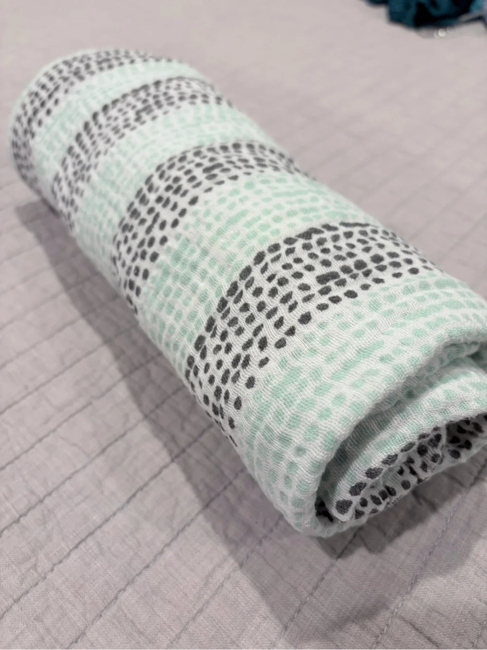 Aden + Anais Classic Muslin Swaddle Blanket – Mint & Gray Dot Stripe